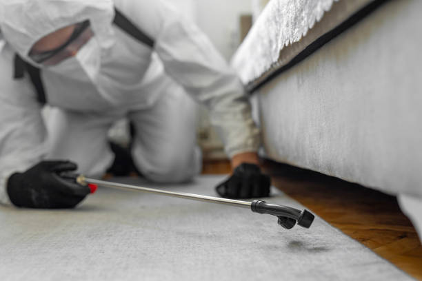 Professional Bed Bug Control technician working in Terrytown, LA
