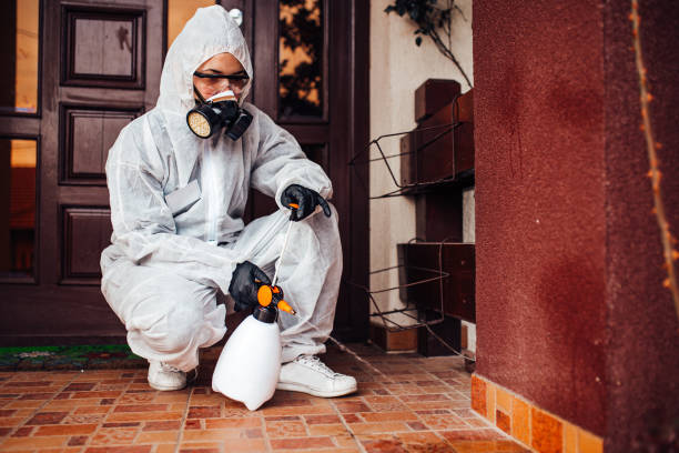 Reliable Bed Bug Control contractor in Terrytown, LA by Nex Pest Control